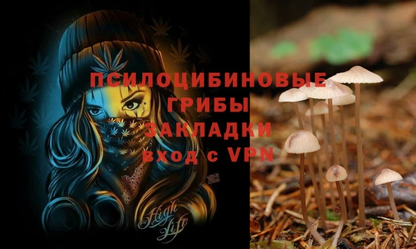 прущая мука Белокуриха