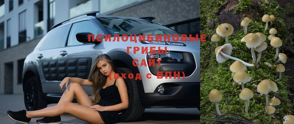 кокс Баксан