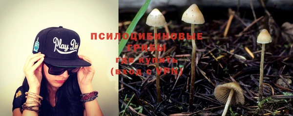 кокс Баксан